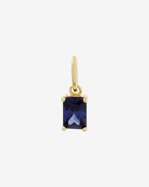 Birthstone Charm Gold / December