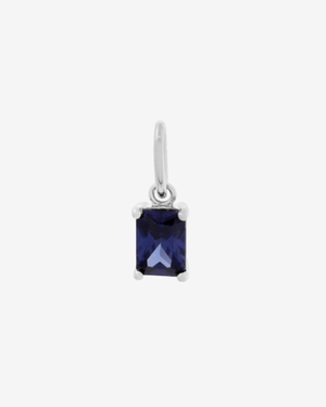 Birthstone Charm Silver / December
