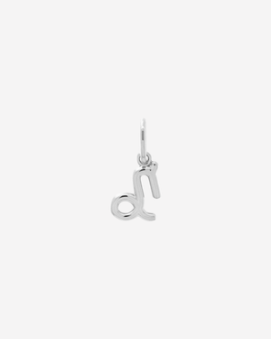 Horoscope Charm Silver / Capricorn