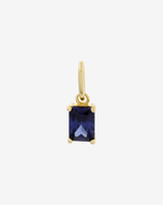 Birthstone Charm - Gold / December