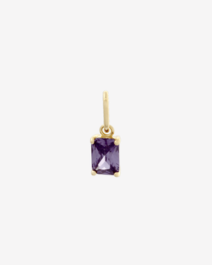 Birthstone Charm Gold / February