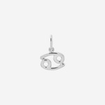 Şener Besim Cancer Charm in silver rhodium plating, flat lay