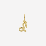 Şener Besim Capricorn Charm in 14ct gold plating, flat lay